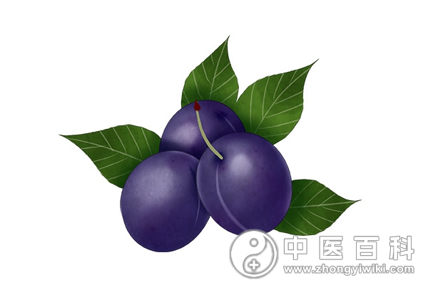 乌梅进行药用有什么功效-血管微语