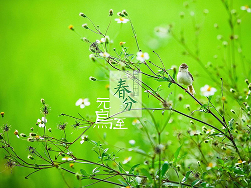 春暖莫忘“倒春寒”，省酸增甘来养肝 - 血管微语-血管微语