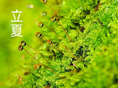 夏季属火应于心 凉血养心最养生-血管微语