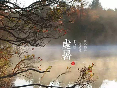 处暑节气渐干燥，饮食养生有讲究-血管微语