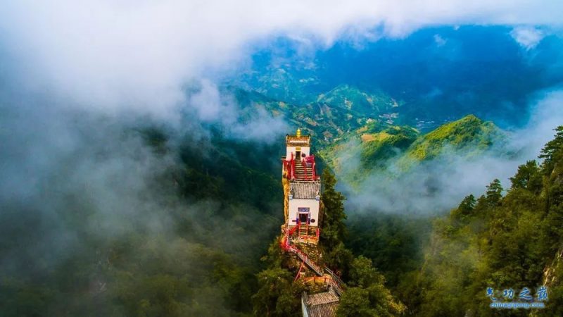 99条长寿秘法-血管微语