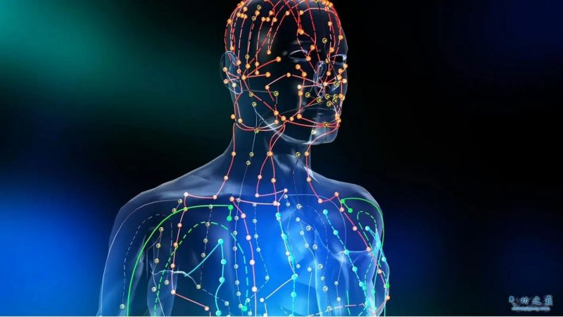 12经络养生关键点-血管微语