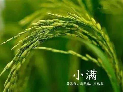 小满之后多湿邪 食酸清补增午休 - 血管微语-血管微语