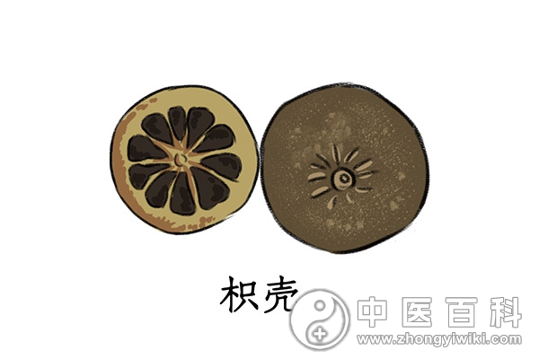 枳壳的药用价值高不高-血管微语