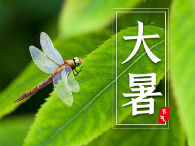 大暑时节：老少中青三类人群如何防病养生 - 血管微语-血管微语