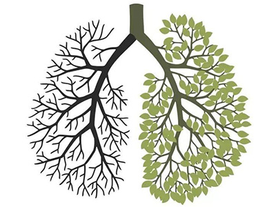 如何摆脱慢性支气管炎困扰-血管微语