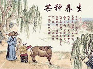 二十四节气养生之芒种养生 - 血管微语-血管微语