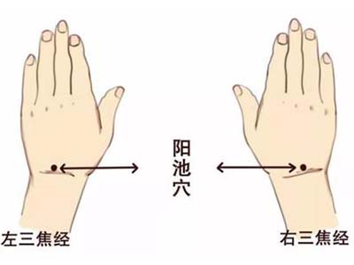 按揉阳池穴缓解手腕酸痛-血管微语