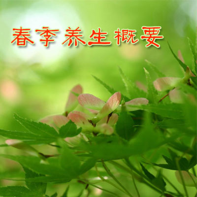 春季养生概要 - 血管微语-血管微语