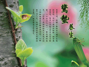 二十四节气养生之惊蛰养生-血管微语