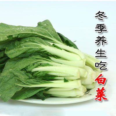 冬季养生吃白菜-血管微语