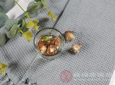 适量喝点蒲公英泡水 对身体有何好处 能长期喝吗 - 血管微语-血管微语