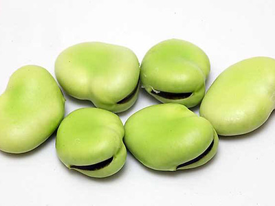 4款蚕豆养生膳食-血管微语