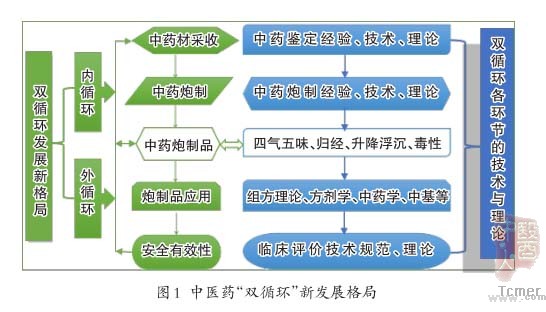 以“双循环”发展格局促进中药炮制传承创新-血管微语
