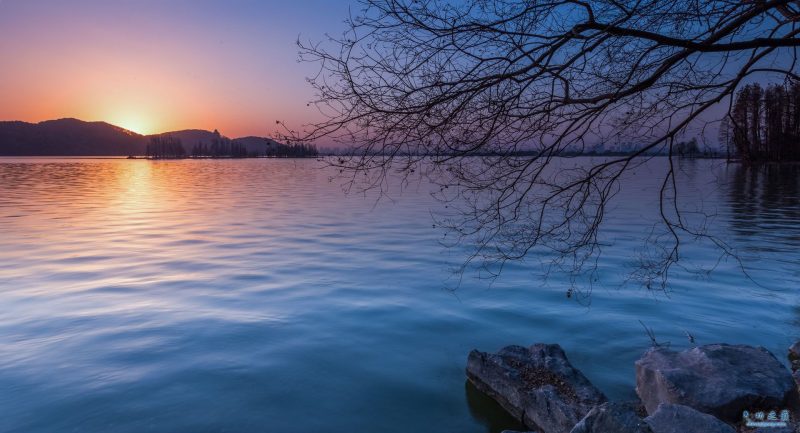 七杀佩刃格-血管微语