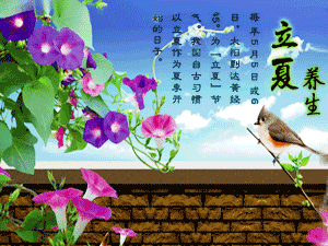 二十四节气养生之立夏养生 - 血管微语-血管微语