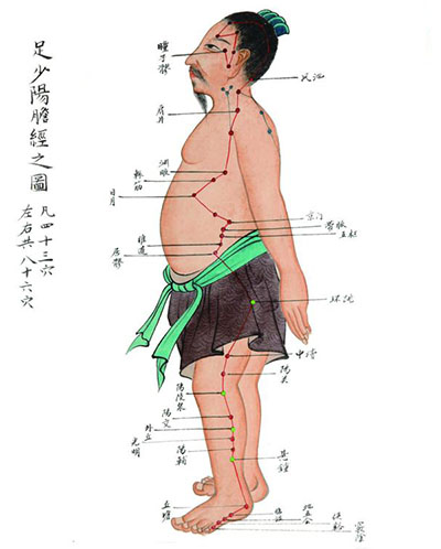 疏通胆经 缓解各类疼痛 - 血管微语-血管微语
