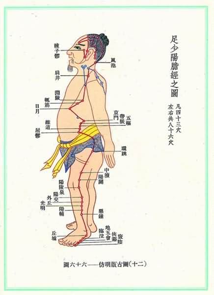 胆经要穴对症调治常见病 - 血管微语-血管微语