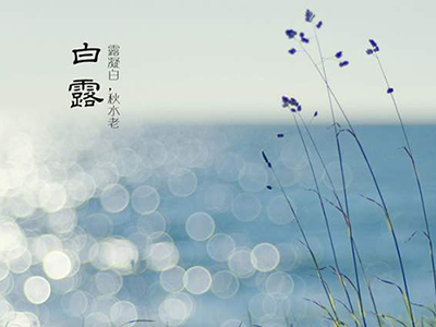 白露养生三注意，保暖秋燥多运动-血管微语