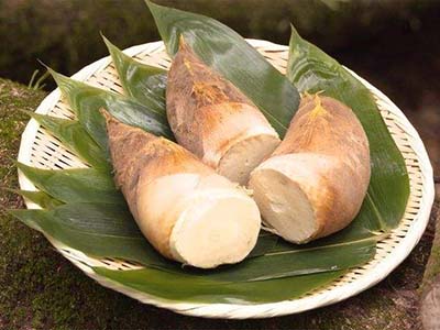 一日食笋 三日清肠-血管微语