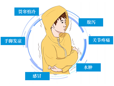 畏寒怕冷的阳虚体质，该如何调理？ - 血管微语-血管微语