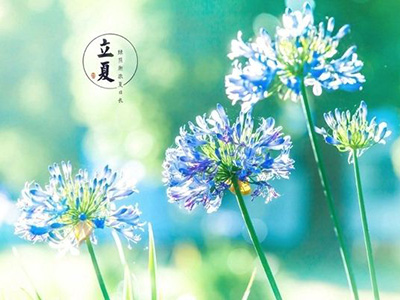 立夏养生“五要三不要” 养心试试“手指操” - 血管微语-血管微语
