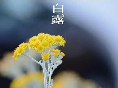 白露天高云淡日，此时“食白”正当时-血管微语
