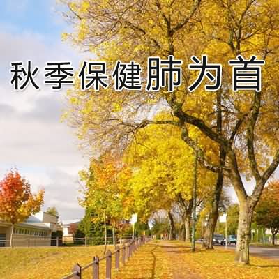 秋季保健肺为首 - 血管微语-血管微语