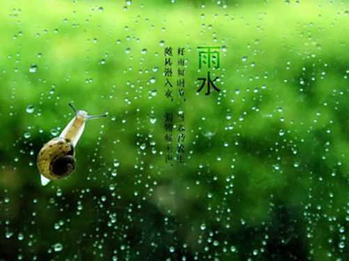 雨水节气话养生，祛湿健脾防春困 - 血管微语-血管微语