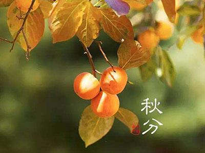 秋分夜夜凉，“阴平阳秘”话养生-血管微语