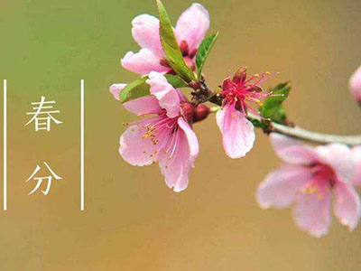 春色正中分 养生遵“运气” - 血管微语-血管微语
