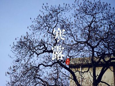 草木萧疏寒露至，温润保暖防“秋悲”-血管微语