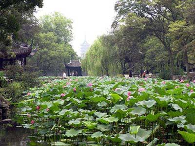 炎炎夏季是个“坎儿”，警惕这些疾病乘虚而入-血管微语