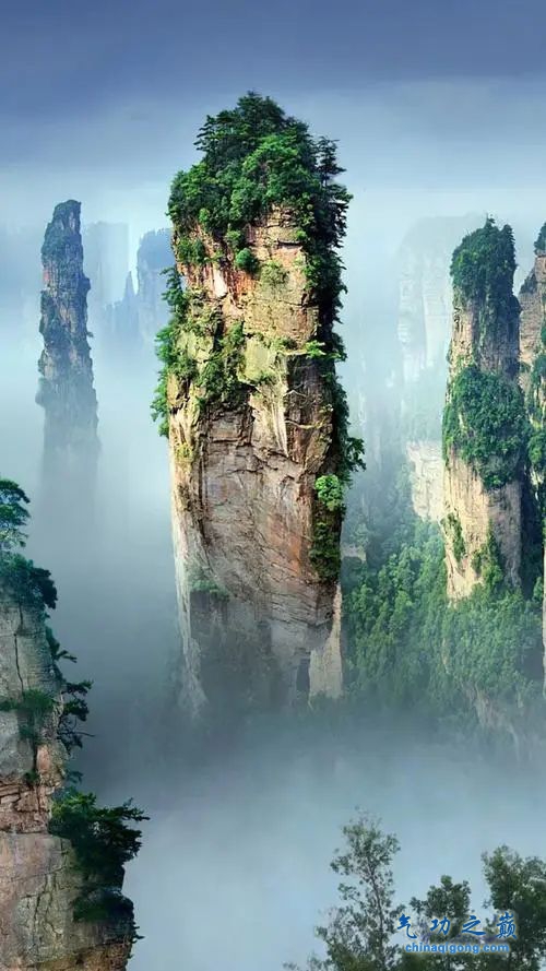 七星功-血管微语