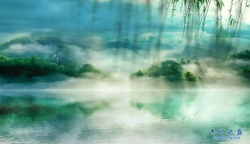 65种单方大全-血管微语