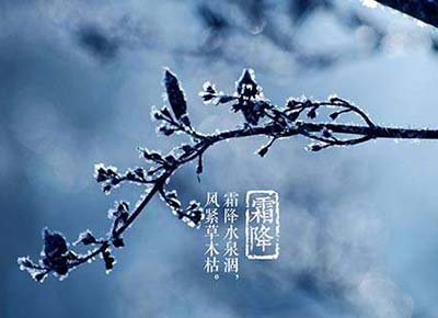 霜降之时秋已深 养生三法备过冬 - 血管微语-血管微语
