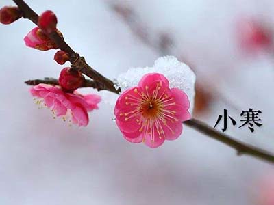 小寒养生四要点 - 血管微语-血管微语