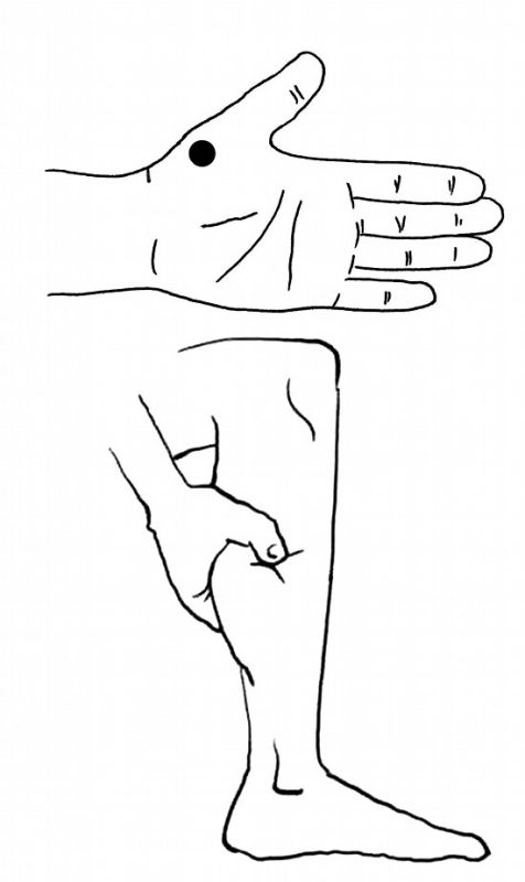 缓解咳喘,按压两穴-血管微语