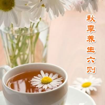 秋季养生六则 - 血管微语-血管微语