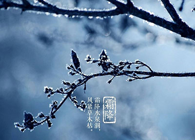 霜降过后就是冬 衣食住行话养生 - 血管微语-血管微语