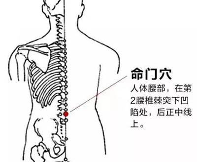 三九天进补要穴–命门-血管微语