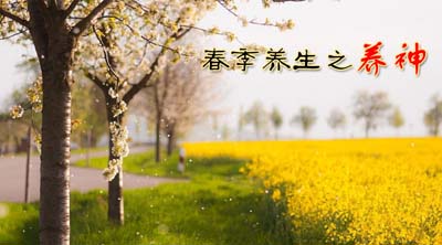 春季养生之养神 - 血管微语-血管微语