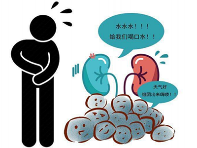做到四条防结石 莫让泌尿系结石兴风作浪-血管微语