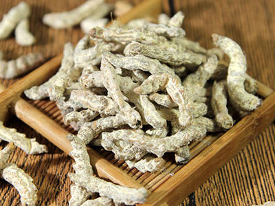 蜂蜜调僵蚕粉 缓解轻度哮喘 - 血管微语-血管微语