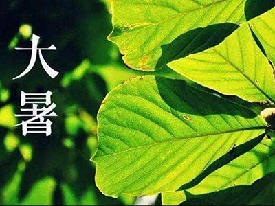 大暑节气斗指丙，衣食住行话养生-血管微语